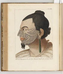 Hoofd van Otegoongoon, illustratie uit Een reisverslag naar de Zuidzeeën: in Zijne Majesteits schip, de Endeavour, 1794